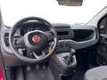 Fiat New Panda 1.0 firefly hybrid s&s 70cv Rouge - thumbnail 10