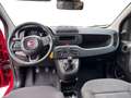 Fiat New Panda 1.0 firefly hybrid s&s 70cv Rouge - thumbnail 11