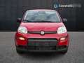 Fiat New Panda 1.0 firefly hybrid s&s 70cv Rouge - thumbnail 2