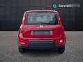 Fiat New Panda 1.0 firefly hybrid s&s 70cv Rouge - thumbnail 6