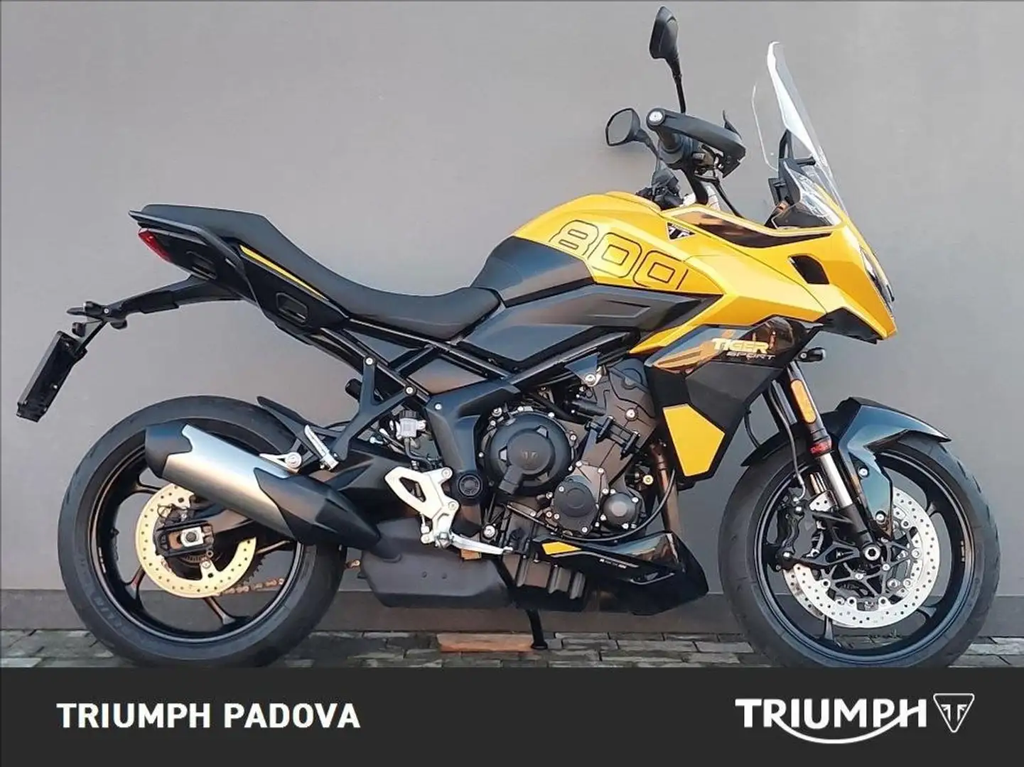Triumph Tiger Sport 800 Giallo - 1