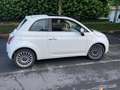 Fiat 500 500 0.9 TwinAir Turbo Start Wit - thumbnail 1