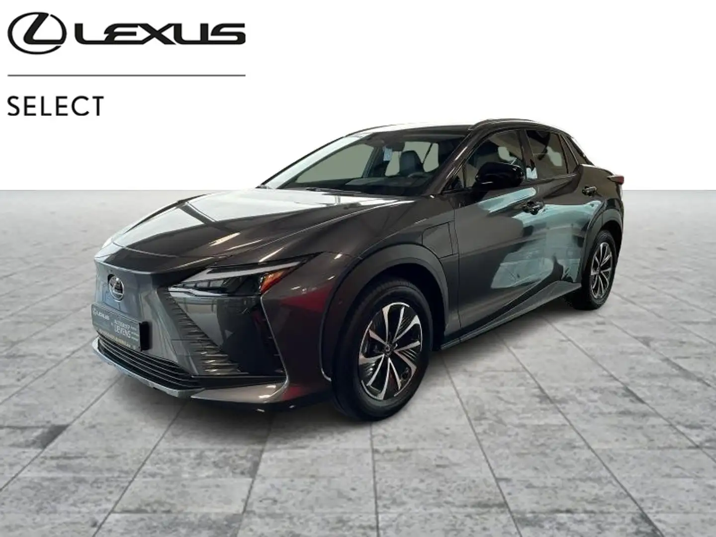 Lexus RZ RZ 300 E EXECUTIVE LINE Серый - 1