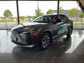 Lexus RZ RZ 300 E EXECUTIVE LINE Gris - thumbnail 26