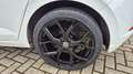Volkswagen Polo 1.0 AIRCO CRUISE VIRTUAL ACC NAVI STOELVERWARMING Wit - thumbnail 5
