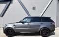 Land Rover Range Rover Sport 3,0 TDV6 SE Aut. Grau - thumbnail 7