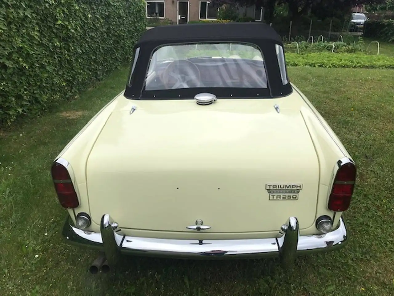 Triumph TR5 Cabrio, foto 4