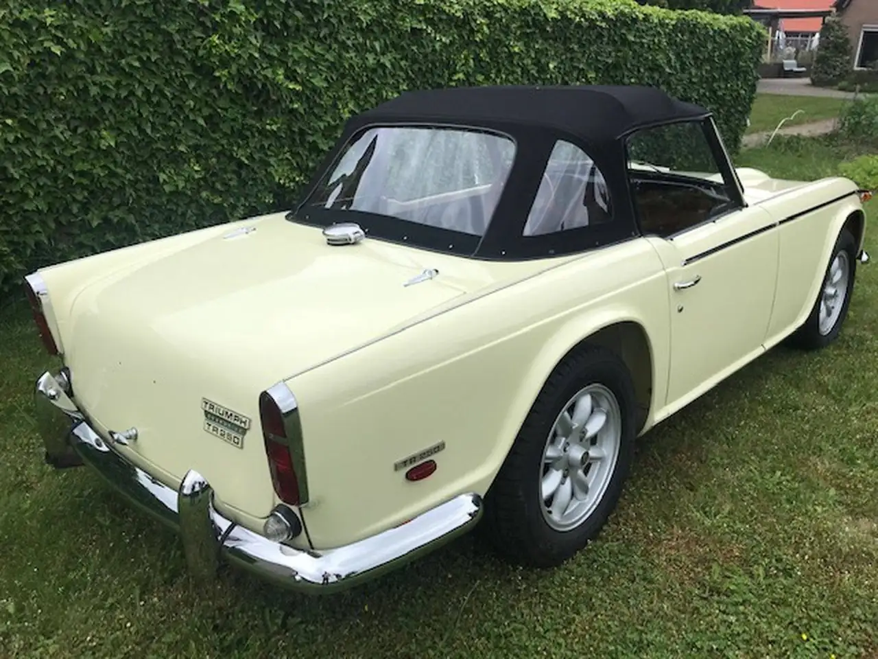 Triumph TR5 Cabrio, foto 5