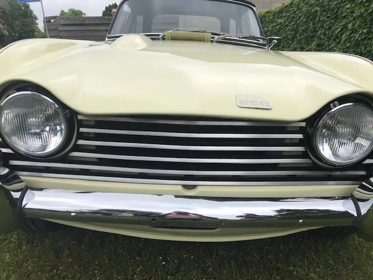 Triumph TR5 Cabrio, foto 7