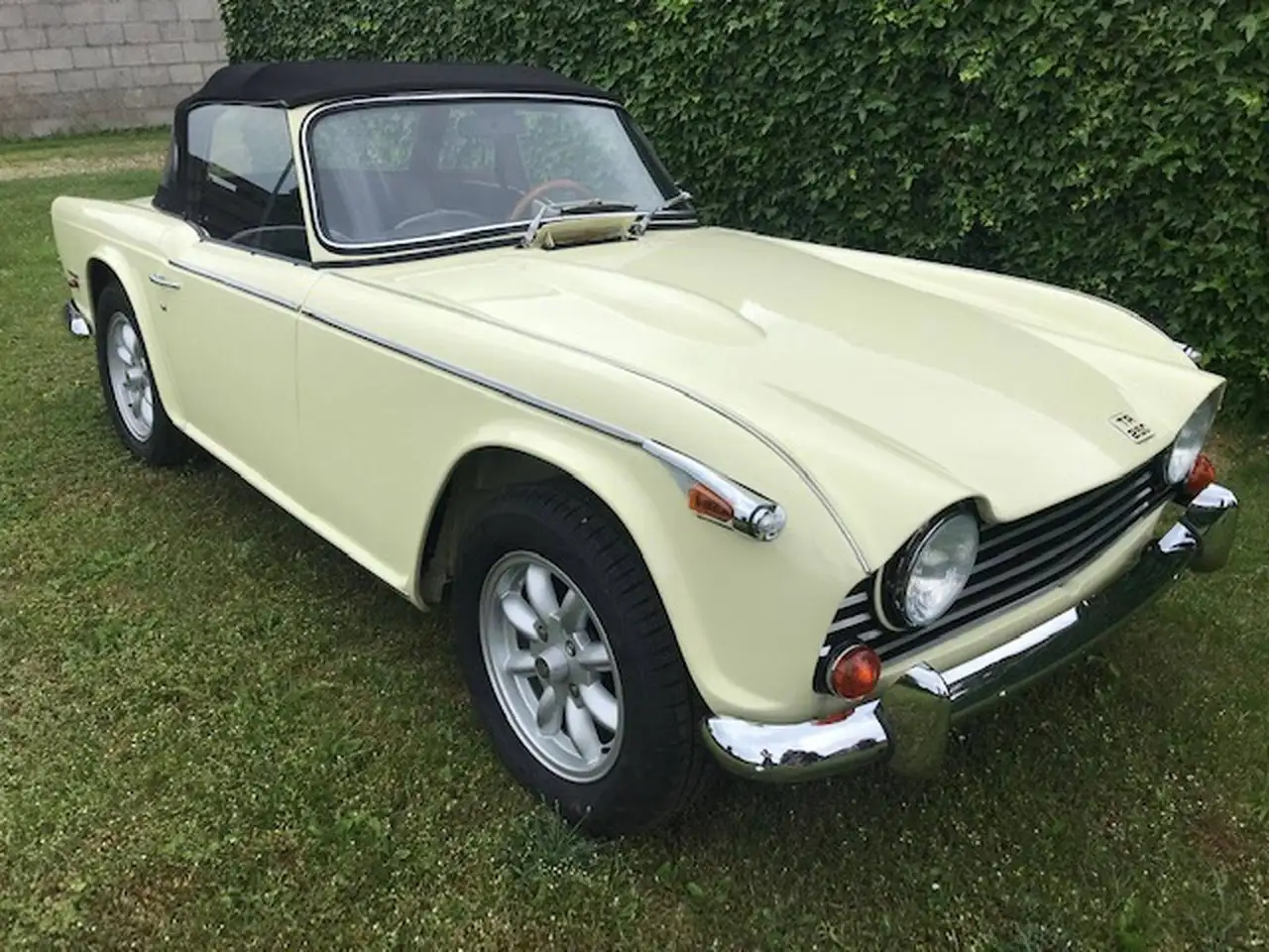 Triumph TR5 Cabrio, foto 2