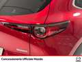 Mazda CX-30 2.5 m-hybrid exclusive line 2wd 140cv 6mt - thumbnail 23