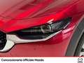 Mazda CX-30 2.5 m-hybrid exclusive line 2wd 140cv 6mt - thumbnail 21