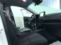 Hyundai KONA 1.0 t-gdi 48V Xtech 2wd 120cv imt - HYBRID Bianco - thumbnail 15