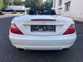 Mercedes-Benz SLK 200 Roadster  BlueEfficiency *toller Zustand Weiß - thumbnail 9