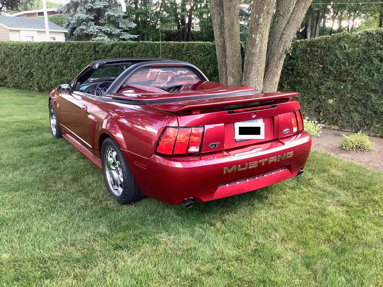 Ford Mustang fotografie Ford Mustang