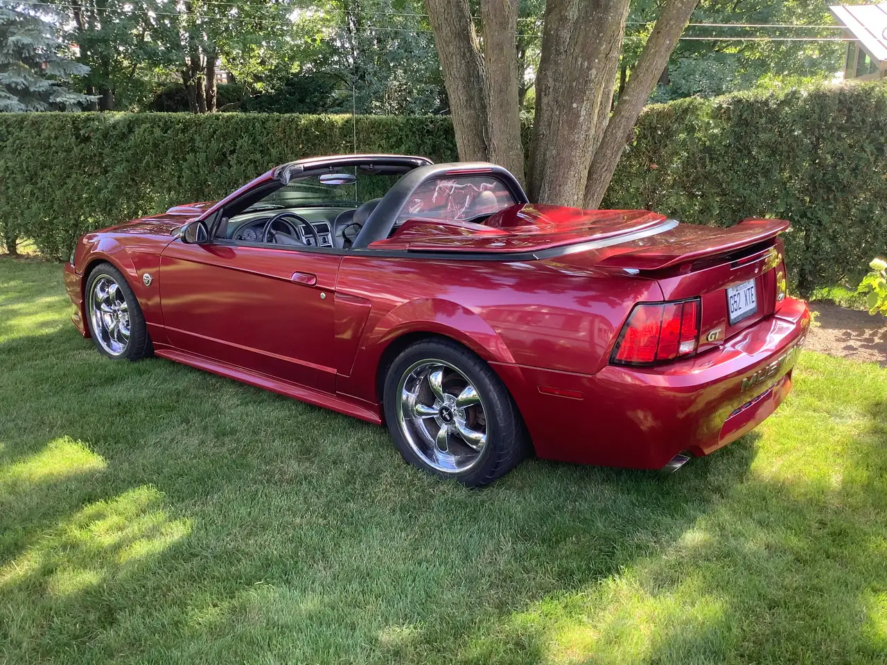 Ford Mustang fotografie Ford Mustang
