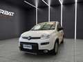Fiat New Panda Panda 1.3 MJT 80 CV S&S LOUNGE + IVA Белый - thumbnail 1