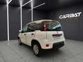 Fiat New Panda Panda 1.3 MJT 80 CV S&S LOUNGE + IVA Белый - thumbnail 6