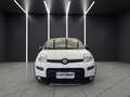 Fiat New Panda Panda 1.3 MJT 80 CV S&S LOUNGE + IVA Белый - thumbnail 2