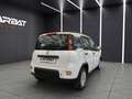 Fiat New Panda Panda 1.3 MJT 80 CV S&S LOUNGE + IVA Белый - thumbnail 8