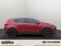 Kia Sportage Sportage GT-Line AWD Navi 360 Grad Kamera El. H Rouge - thumbnail 5