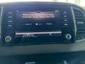 Skoda Karoq Ambition 2.0 TDI NAVI PDC CARPLAY TEMPOMAT Negro - thumbnail 22