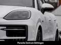 Porsche Cayenne S E-Hybrid BOSE Sportabgasanlage LED Weiß - thumbnail 25
