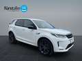 Land Rover Discovery Sport P200 AWD R-Dynamic Weiß - thumbnail 3