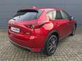 Mazda CX-5 2.0l Exclusive AWD 360° AHK Voll-LED Rot - thumbnail 6