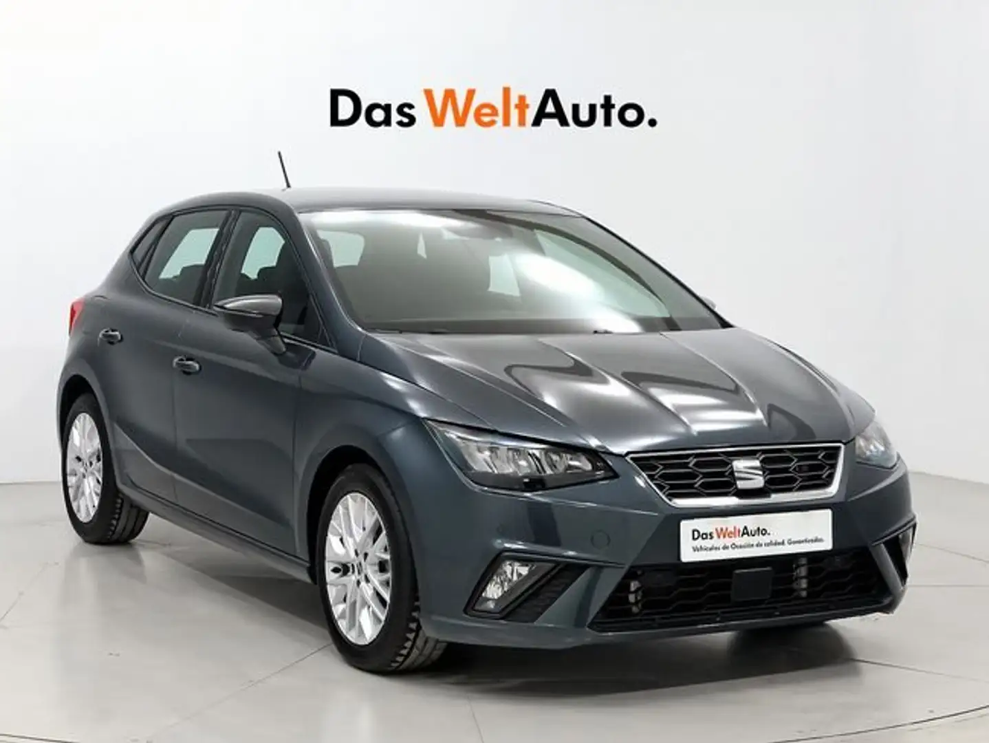 SEAT Ibiza 1.0 TSI 115 FR XS 5P (PACK VISION PLUS+COCKPIT) Gris - 1