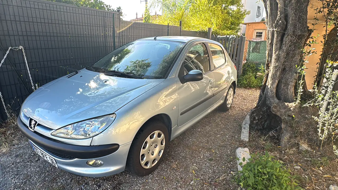 Peugeot 206 75 Grand Filou