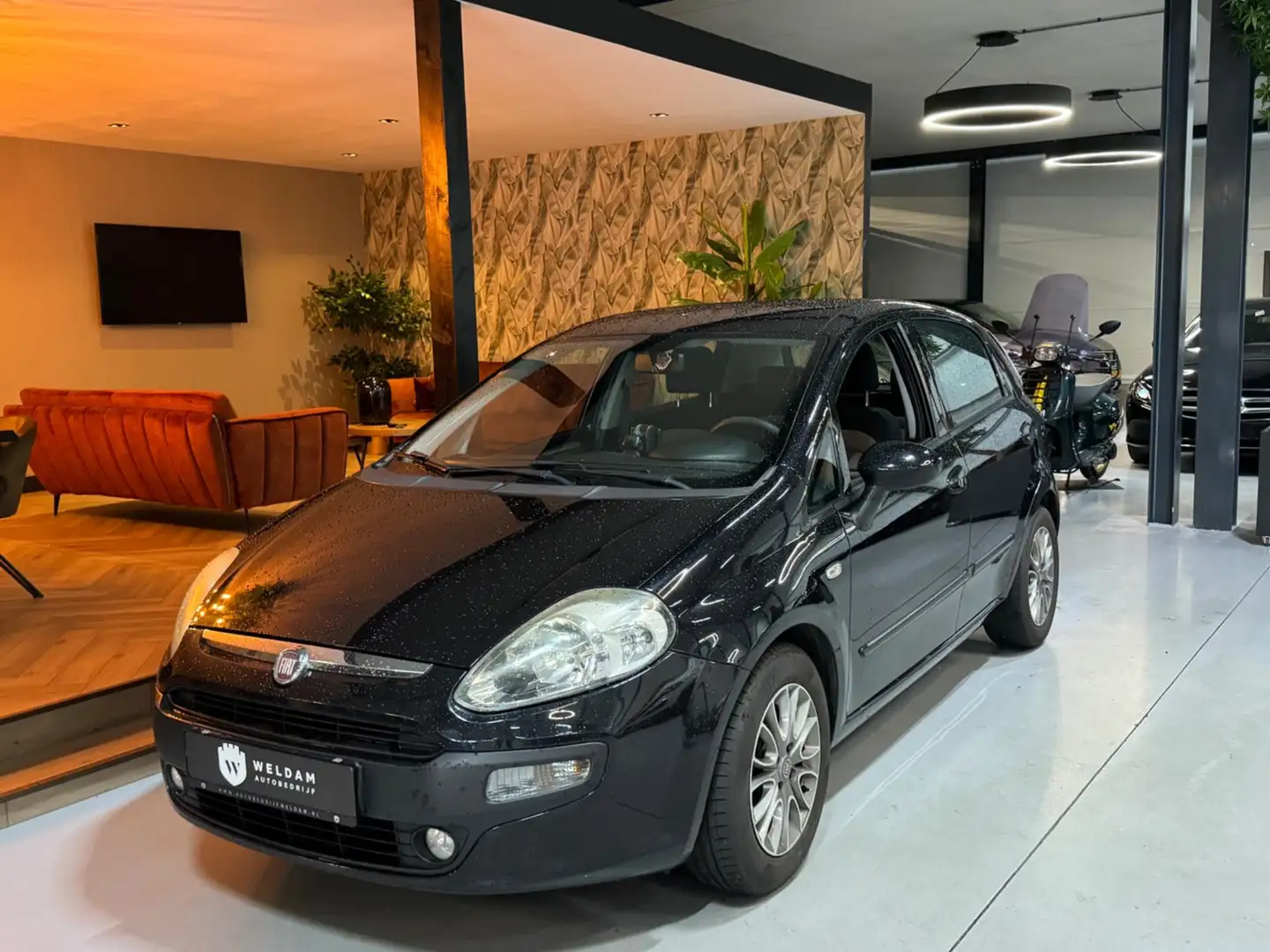 Fiat Punto Evo 1.3 M-Jet Dynamic NAP Trekhaak Cruise Navi Clima R Zwart - 2