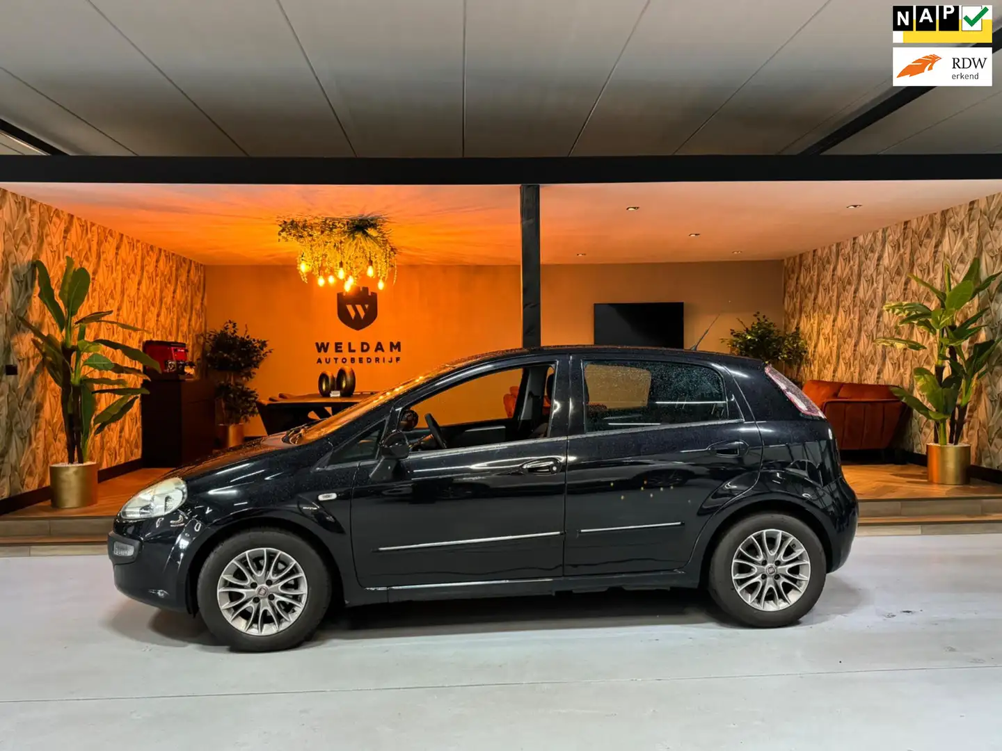 Fiat Punto Evo 1.3 M-Jet Dynamic NAP Trekhaak Cruise Navi Clima R Zwart - 1