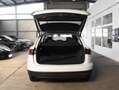 Volkswagen Touareg 4Motion*3,0TDI*V6*Panorama*3,5t AHK Weiß - thumbnail 18