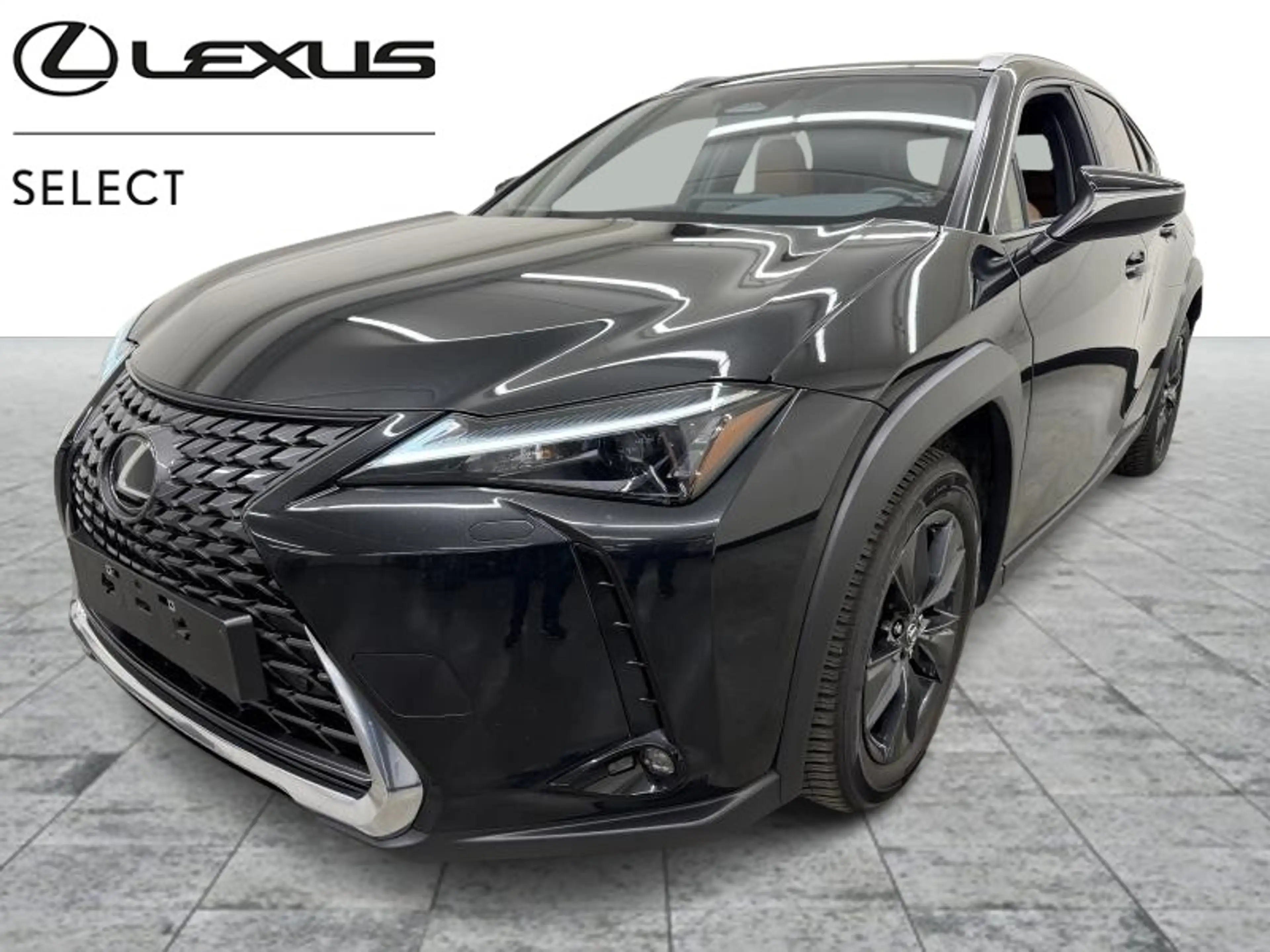 Lexus UX 250h Business Line