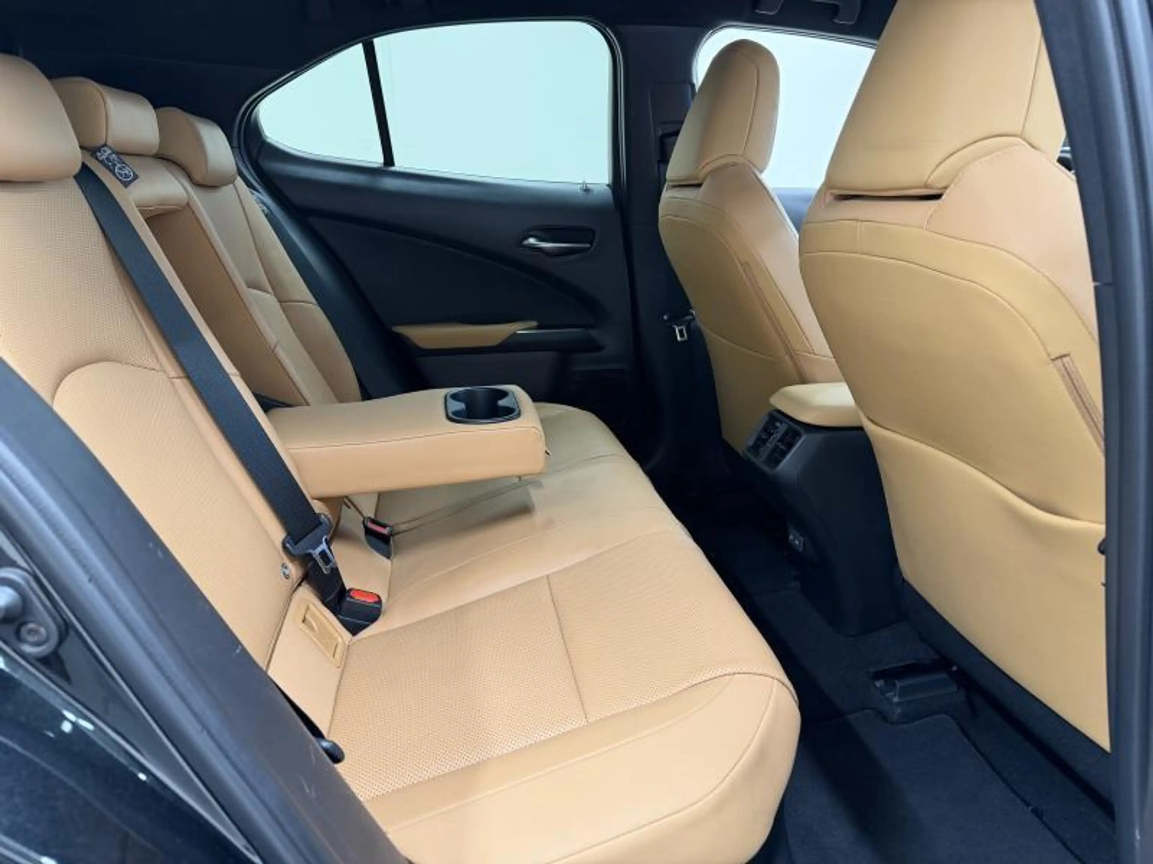Lexus UX 250h Business Line — photo 14
