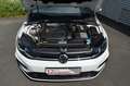 Volkswagen Golf Variant LED*Ponorama*R-Line*Leder*1.Hand*ORYXWEISS*DAB Weiß - thumbnail 9