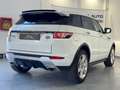 Land Rover Range Rover Evoque 5p 2.2 td4 Dinamik 150cv Wit - thumbnail 13