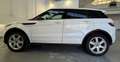 Land Rover Range Rover Evoque 5p 2.2 td4 Dinamik 150cv Blanco - thumbnail 8