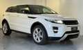 Land Rover Range Rover Evoque 5p 2.2 td4 Dinamik 150cv Wit - thumbnail 10
