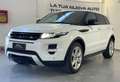 Land Rover Range Rover Evoque 5p 2.2 td4 Dinamik 150cv Blanco - thumbnail 11