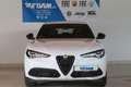 Alfa Romeo Stelvio Veloce Q4 2.0 280PS Facelift Weiß - thumbnail 4