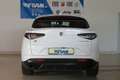 Alfa Romeo Stelvio Veloce Q4 2.0 280PS Facelift Weiß - thumbnail 3