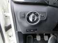 Mercedes-Benz B 180 Classe B - 180 cdi Premium 1.5 DCI Weiß - thumbnail 15