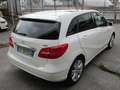 Mercedes-Benz B 180 Classe B - 180 cdi Premium 1.5 DCI Wit - thumbnail 6