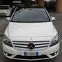 Mercedes-Benz B 180 Classe B - 180 cdi Premium 1.5 DCI Weiß - thumbnail 2