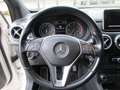 Mercedes-Benz B 180 Classe B - 180 cdi Premium 1.5 DCI Blanc - thumbnail 11
