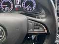 Skoda Karoq Karoq 1.6 TDI SCR Ambition Gris - thumbnail 21