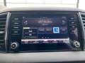 Skoda Karoq Karoq 1.6 TDI SCR Ambition Gris - thumbnail 16