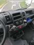Fiat Ducato FIAT DUCATO EURO6 MAXI TETTO RIALZATO PASSO LUNGO Blanco - thumbnail 8